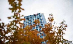 <b>投资蓝冠官网竞争对手希望通过免费服务与Netflix竞争</b>