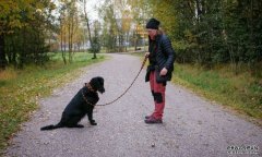 <b>蓝冠测速地址能源公司向动物粪便寻求清洁能源</b>