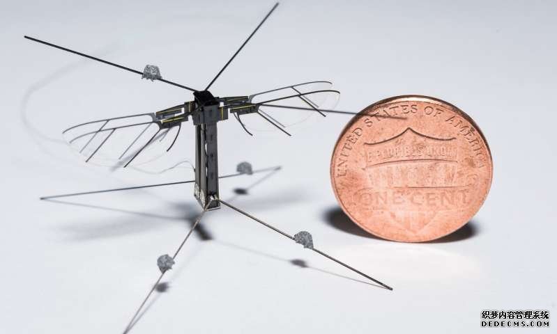 冠蓝在线测速 一种用于控制飞行的机器昆虫的统一方法