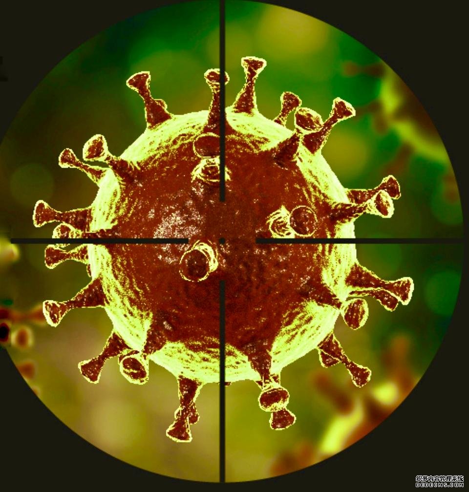 蓝冠官网:为了对抗covid19,加速经济复苏,促进经济发展,人工智能科学家建议让老年人更年轻