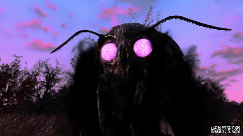 蓝冠代理:《辐射76》:值得安装吗?