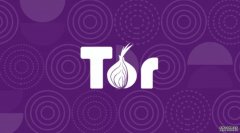 <b>蓝冠测速:Tor的多个零日漏洞已被在线披露</b>