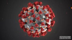 <b>蓝冠官网:数百万冠状病毒患者的数据在网上泄露</b>