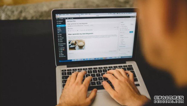 蓝冠怎么样:WordPress想要帮助更多的人写博客