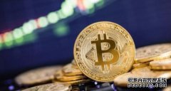 <b>特斯拉蓝冠投资什么已经从比特币投资中获得了10亿美元的利润</b>