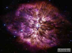 <b>JWST 拍下了星空中罕见的沃夫-瑞叶星蓝冠代理</b>