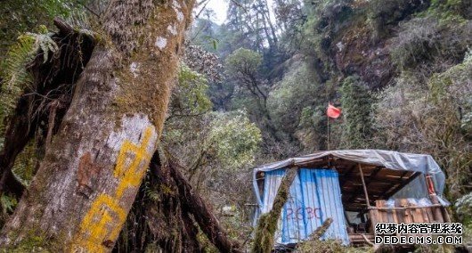 蓝冠测速原始森林里荒野求生 西藏山南拉郊边境派出所移民管理警察戍边记