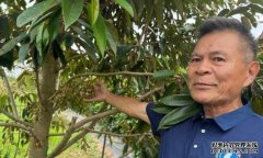<b>台湾果农深蓝冠线路测试耕海南 迎自贸港机遇</b>