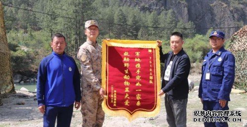 官兵紧急救助国家蓝冠代理二级保护动物赤麂