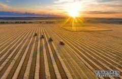 <b>蓝冠注册耕地保护成效明显 筑牢粮食安全根基</b>