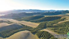 <b>荒漠生态学首席专家吴波：走出治沙就是多植蓝冠代理树的误区</b>