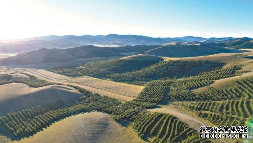 荒漠生态学首席专家吴波：走出治沙就是多植蓝冠代理树的误区