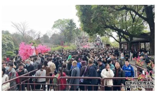 “五一”旅游热度持续高涨 预订火爆蓝冠测速