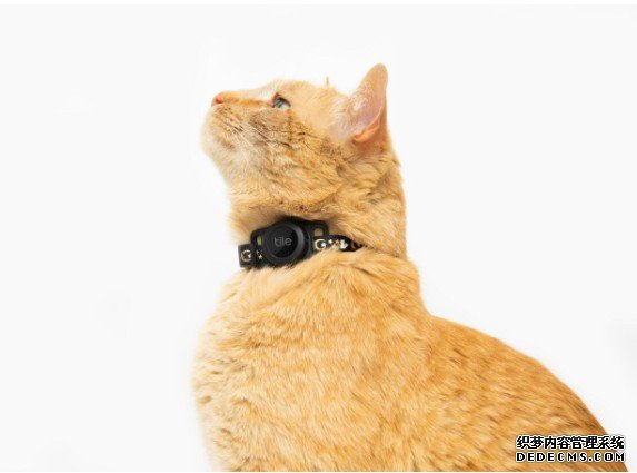 Tile 推出了猫咪蓝冠代理专用的蓝牙追踪器