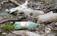 <b>科学家发现在低温下也能消蓝冠官网化塑胶的微生物</b>