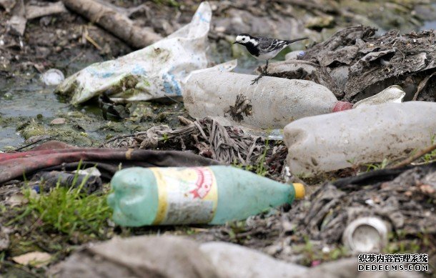 科学家发现在低温下也能消蓝冠官网化塑胶的微生物