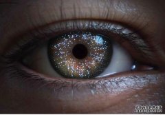 <b>Apple Vision Pro 蓝冠测速带来新的生物识别系统“Optic ID”</b>