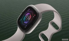 <b>US$230 入手 Fitbit Sense 2 智能手錶，蓝狮平台較原價便宜 US$70</b>