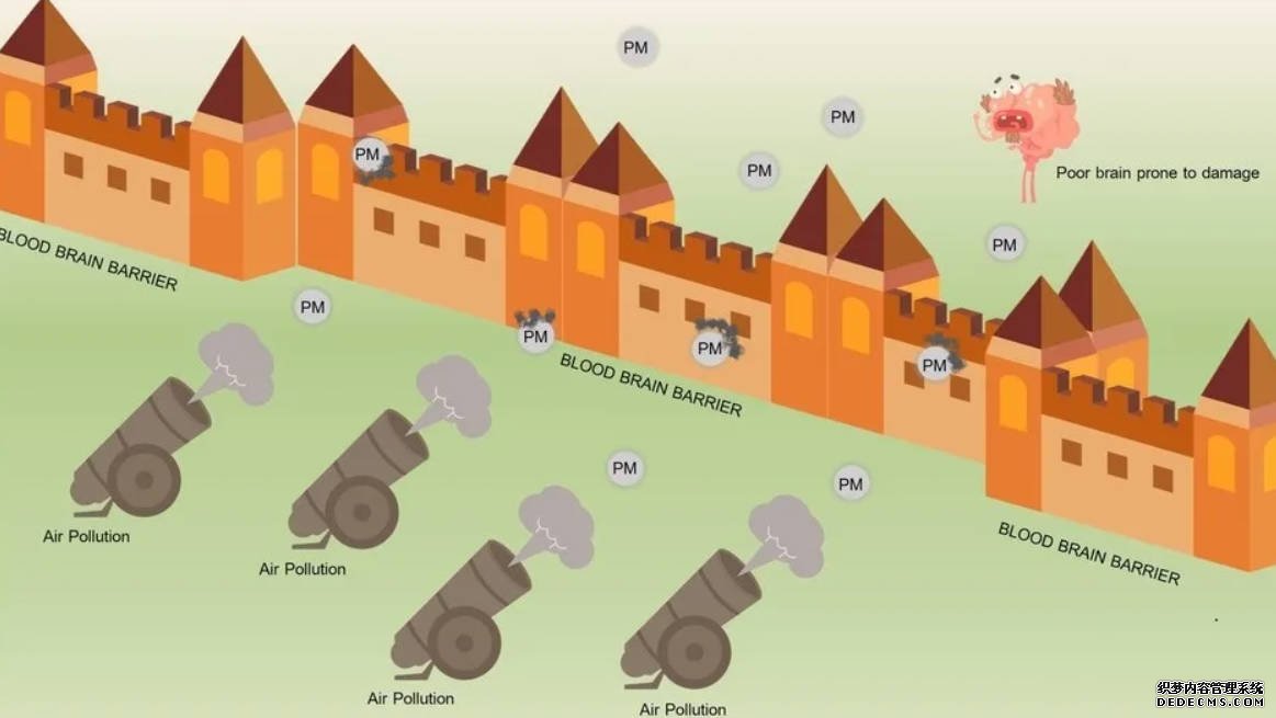空氣汙染不僅奪走健康 還抹黑你的記憶蓝狮平台