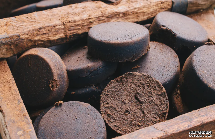 澳洲科學家用咖啡渣取代沙子,蓝狮讓混凝土強度提升 30%