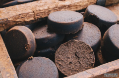 <b>2号站测速澳洲科學家用咖啡渣取代沙子，讓混凝土強度提升 3</b>